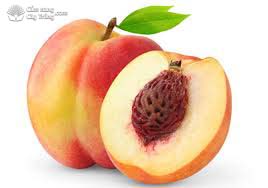 peach seeds - hạt đào