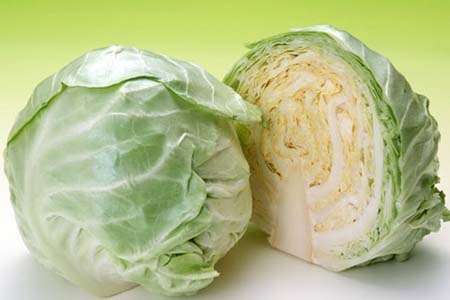 Bắp cải xanh