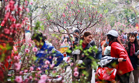 Người dân Việt Nam đi mua đào tết