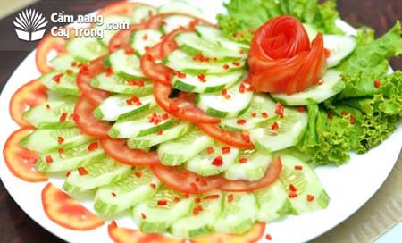 Món Salat dưa leo cà chua hấp dẫn